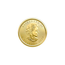 Load image into Gallery viewer, 1/10 oz 2023 Canadian Maple Leaf Gold Coin